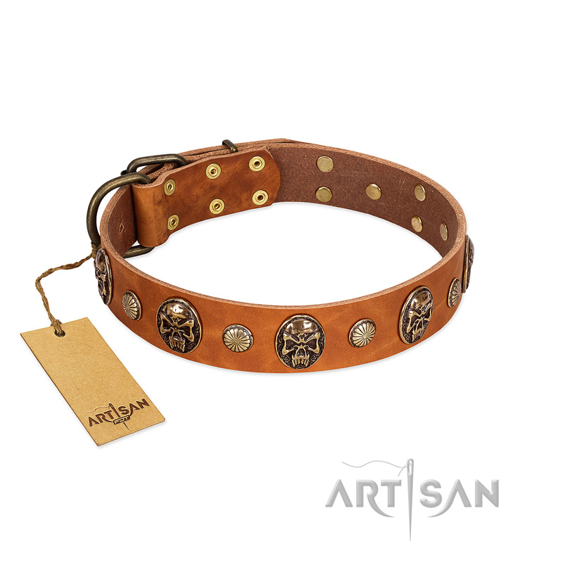 "Call of Feat" FDT Artisan Tan Leather Newfoundland Collar with Old Bronze-like Studs and Oval Brooches