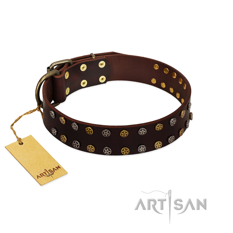 "To the Moon and Back" FDT Artisan Brown Leather Newfoundland Collar with Bronze-like Star Studs