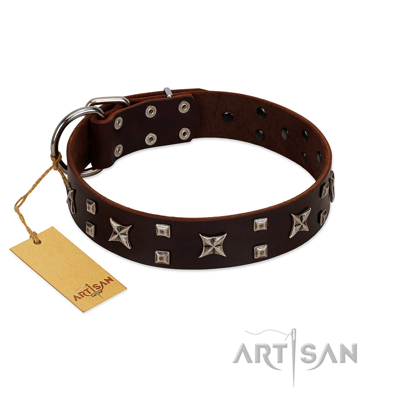 "Bigwig Woof" FDT Artisan Brown Leather Newfoundland Collar with Chrome Plated Stars and Square Studs