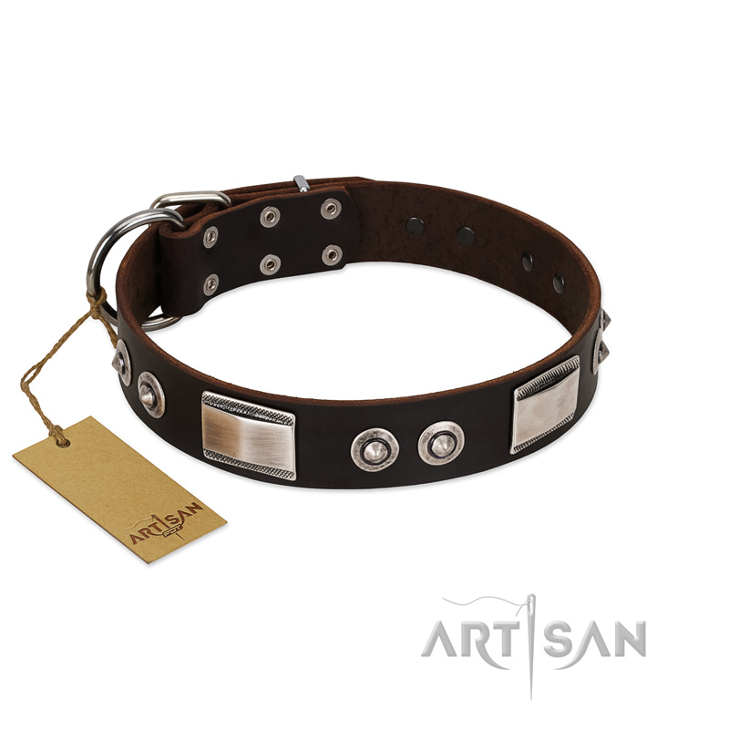 "Baller Status" FDT Artisan Brown Leather Newfoundland Collar Adorned with a Set of Chrome Plated Studs and Plates
