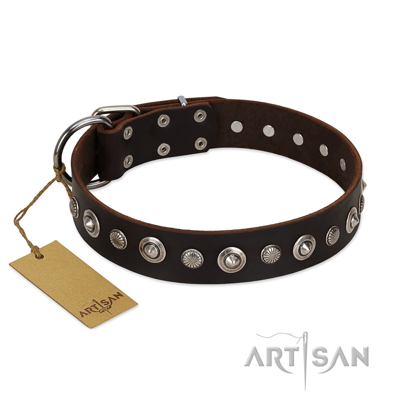 "Gorgeous Shields" FDT Artisan Brown Leather Newfoundland Collar with Old Silver-like Circles and Small Camomiles