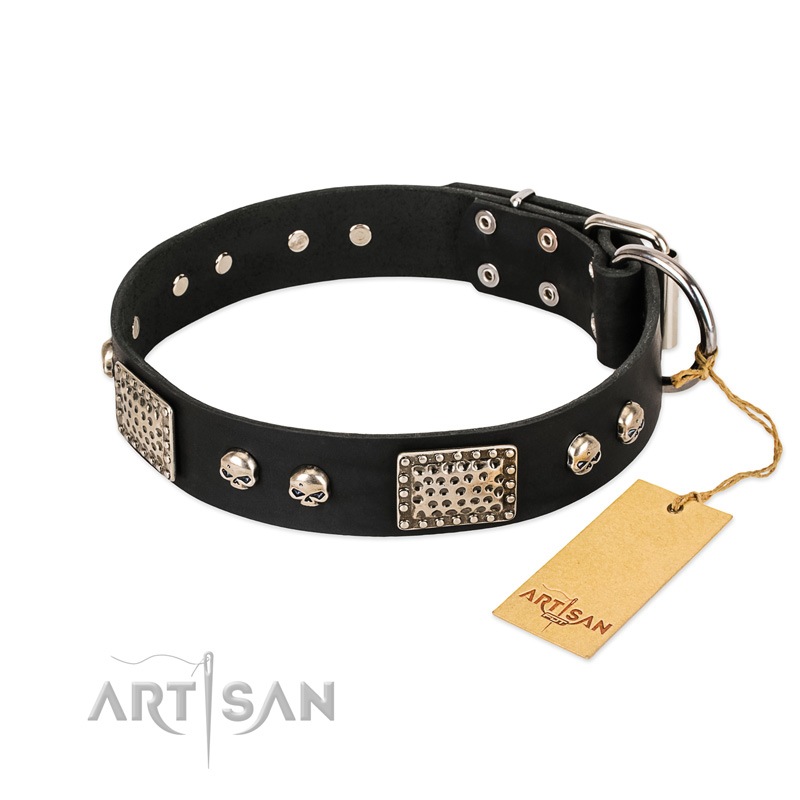 "Pirates Gold" FDT Artisan Black Leather Newfoundland Collar with Old Silver Look Plates and Skulls