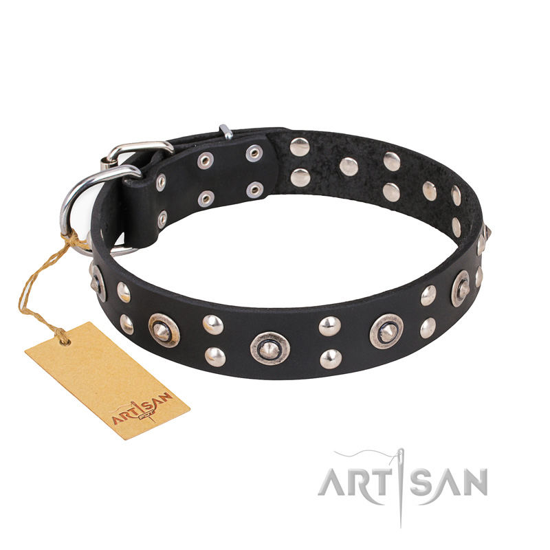 "Refined Essence" FDT Artisan Black Leather Newfoundland Collar with Silvery Studs