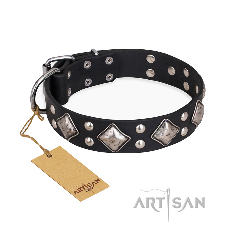 "Smart Geometry" FDT Artisan Studded Leather Newfoundland Collar