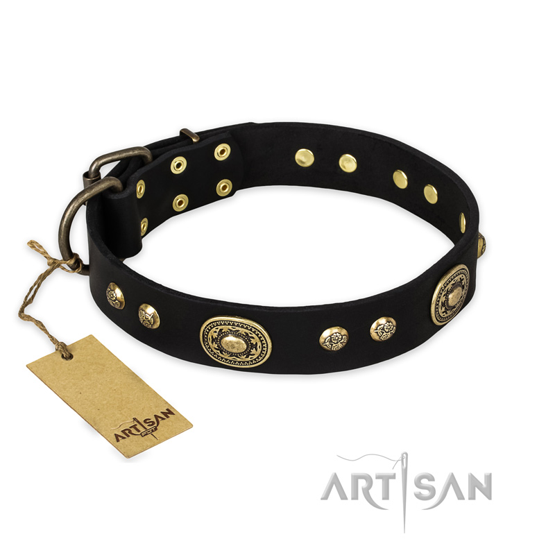 "High Fashion" FDT Artisan Studded with Plates Black Leather Newfoundland Collar