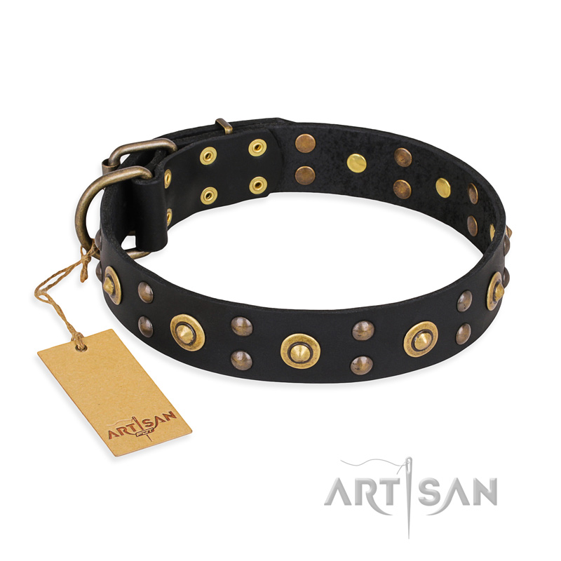 "Cosmic Glow" FDT Artisan Black Leather Newfoundland Collar with Brass-Plated Studs