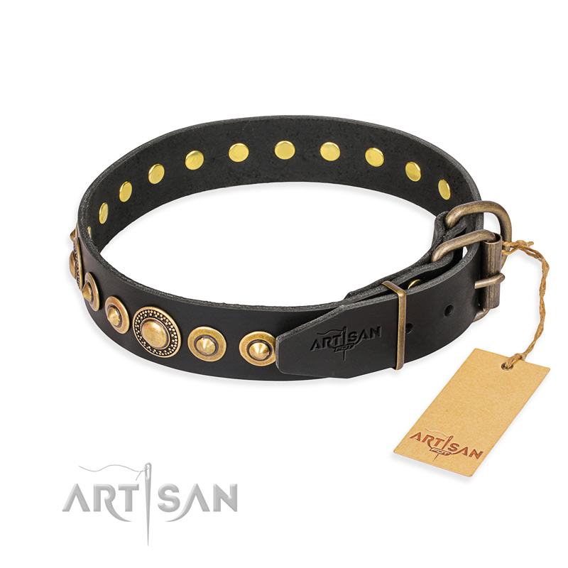 "Gold Mine" FDT Artisan Black Leather Newfoundland Collar with Amazing Bronze-Plated Round Studs