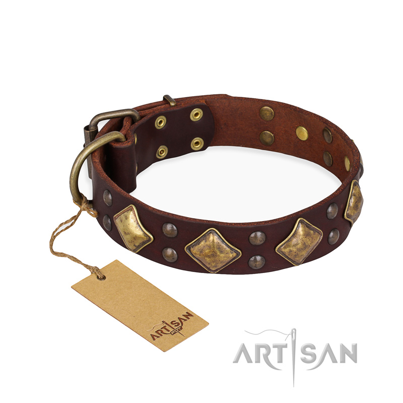 "Golden Square" FDT Artisan Brown Leather Newfoundland Collar with Large Squares - Click Image to Close