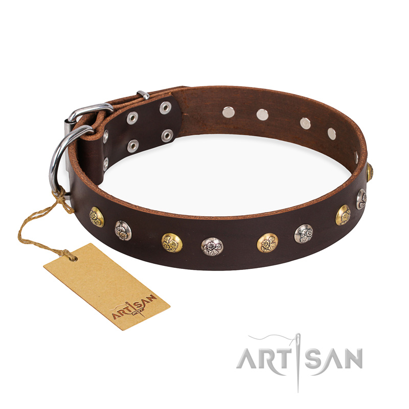 "Golden"n"Silver Luxury" FDT Artisan Leather Newfoundland Collar with Engraved Studs