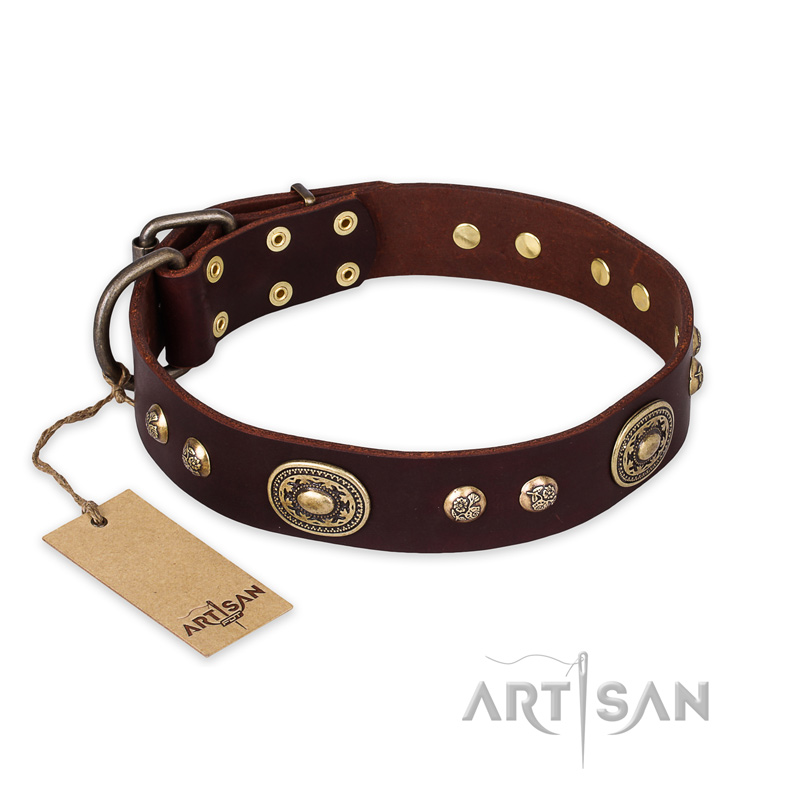 "Breath of Elegance" FDT Artisan Decorated with Plates Brown Leather Newfoundland Collar