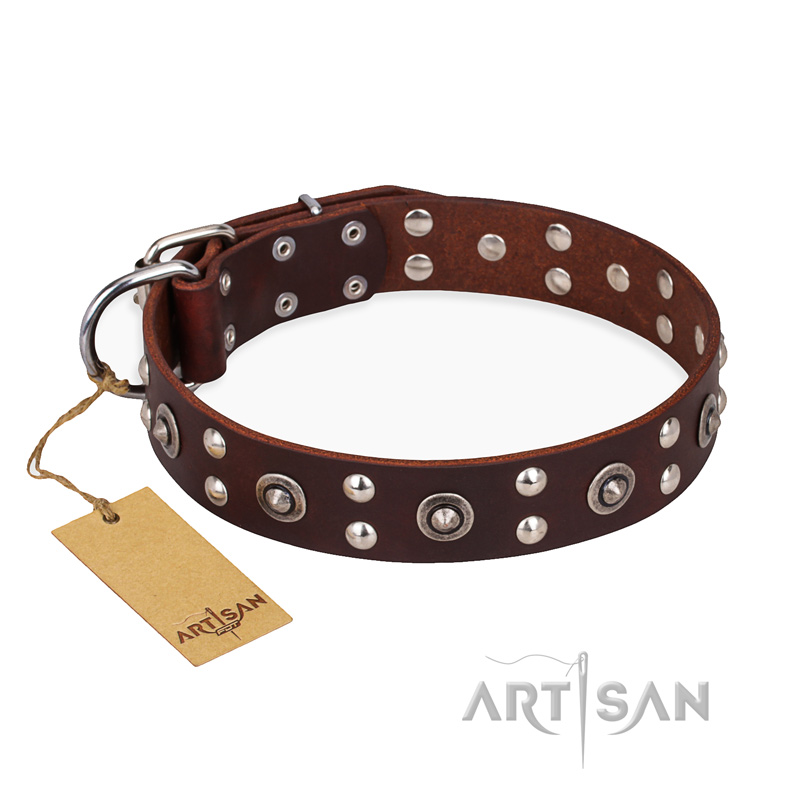 "Pirate Treasure" FDT Artisan Exciting Brown Leather Newfoundland Collar with Studs - Click Image to Close