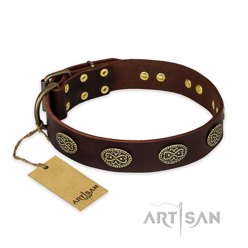 "Chocolate kiss" FDT Artisan Leather Newfoundland Collar with Old Bronze Look Oval Plates