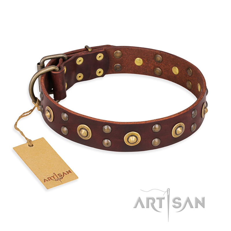 "Caprice of Fashion" FDT Artisan Brown Leather Newfoundland Collar with Round Decorations
