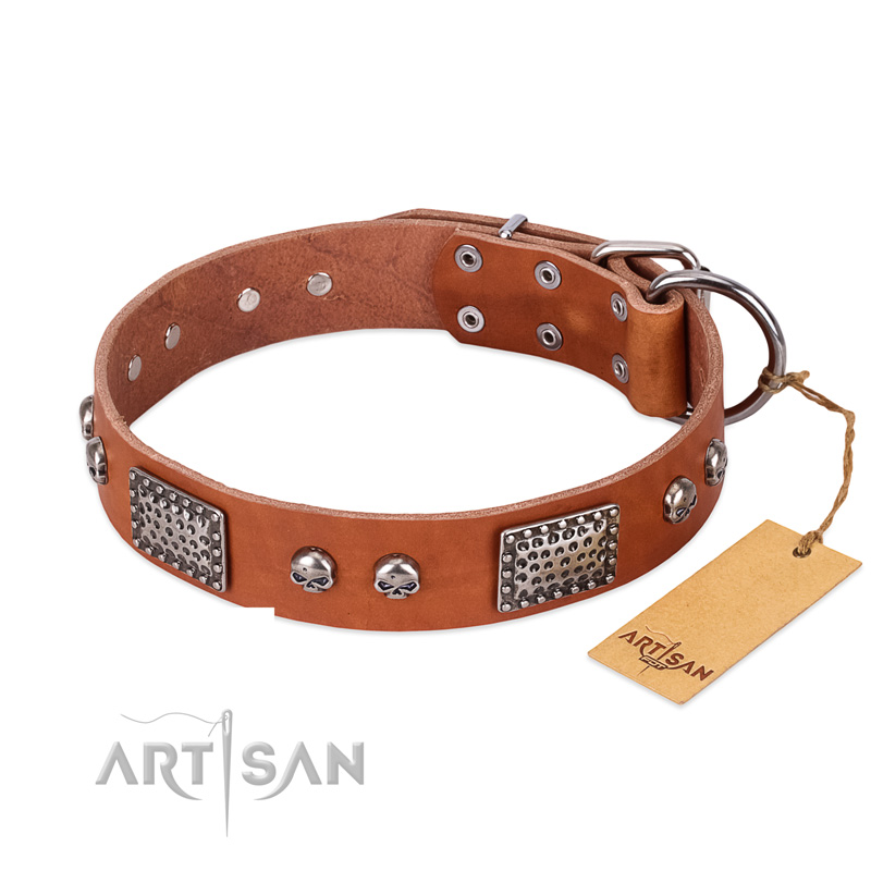 "Sparkling Skull" FDT Artisan Tan Leather Newfoundland Collar with Old Silver Look Plates and Skulls
