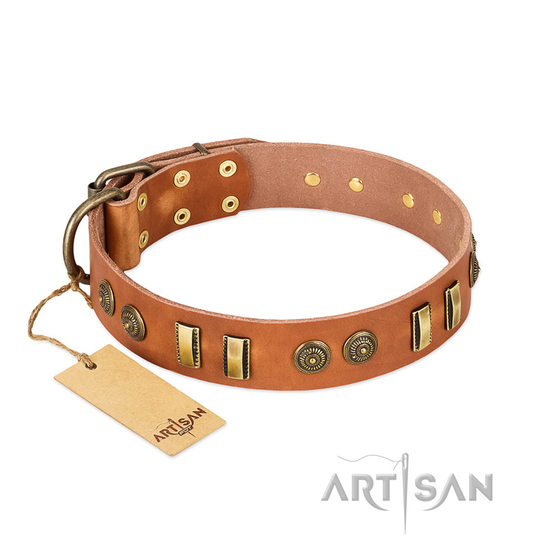 "Natural Beauty" FDT Artisan Tan Leather Newfoundland Collar with Old Bronze-like Circles and Plates