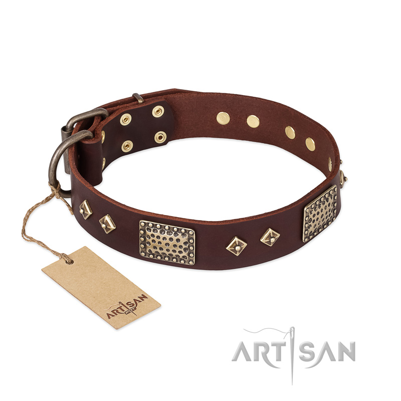 "Loving Owner" FDT Artisan Decorated Leather Newfoundland Collar with Plates and Studs