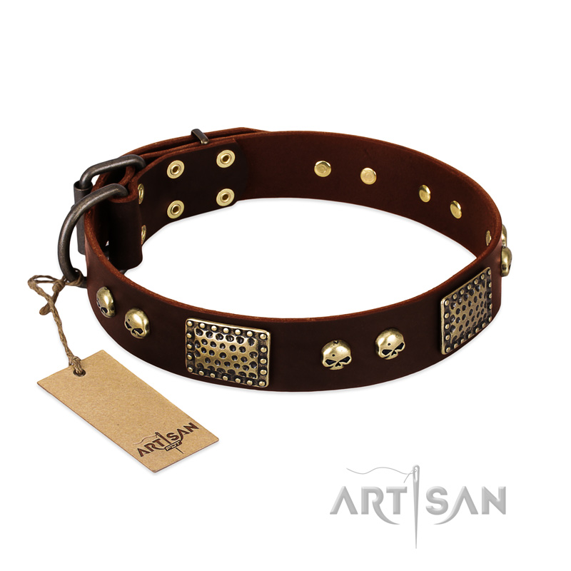 "Magic Amulet" Brown Leather Newfoundland Collar with Skulls and Plates