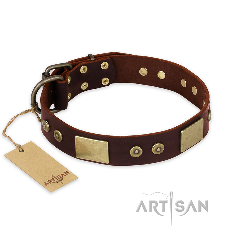 "Shining Armour" FDT Artisan Brown Leather Newfoundland Collar with Decorations