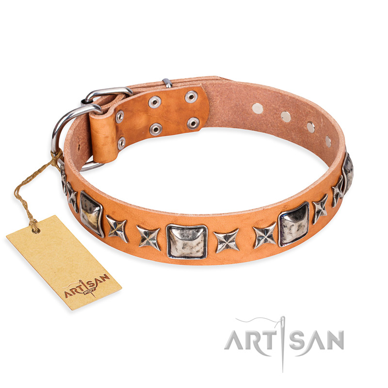 "Glamour Finery" FDT Artisan Female Newfoundland collar of natural leather with stylish old-looking circles