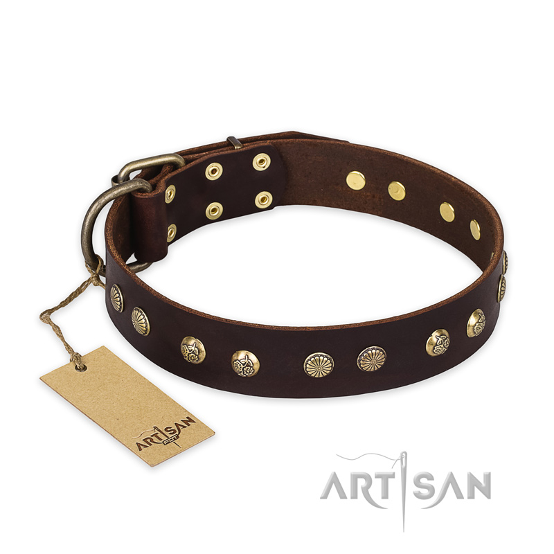 "Bronze Sheen" FDT Artisan Leather Newfoundland Collar with Brass-Plated Studs - Click Image to Close