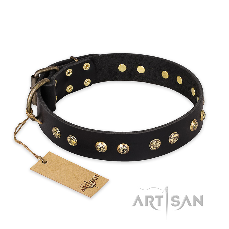 "Black Elegance" FDT Artisan Leather Newfoundland Collar with Round Studs