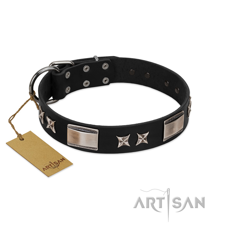 "Pitch Dark" FDT Artisan Black Leather Newfoundland Collar with Stars and Plates