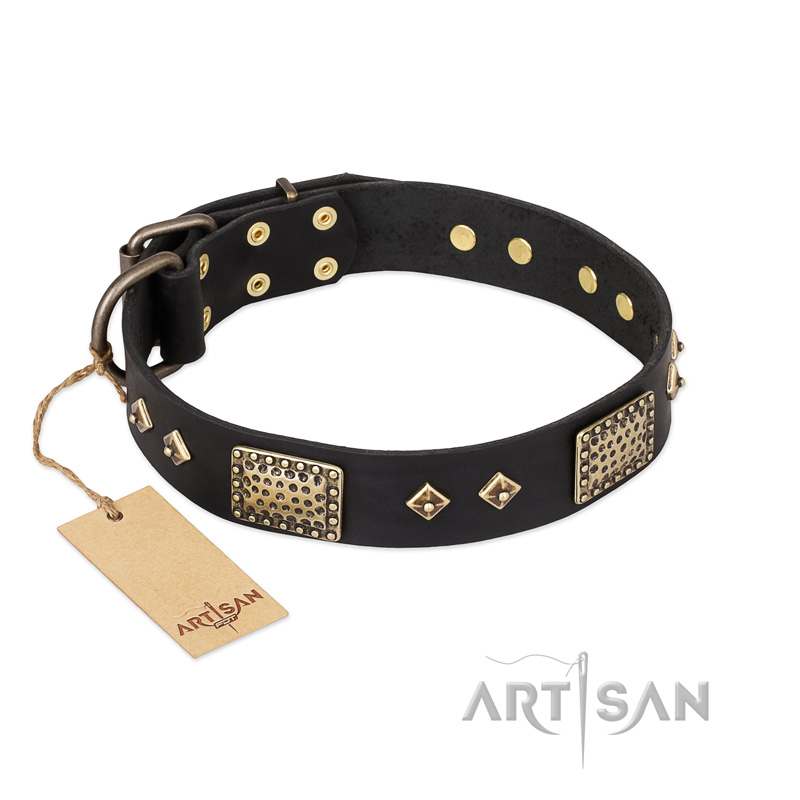 "Jewel Passion" FDT Artisan Fashionable Black Leather Newfoundland Collar - Click Image to Close