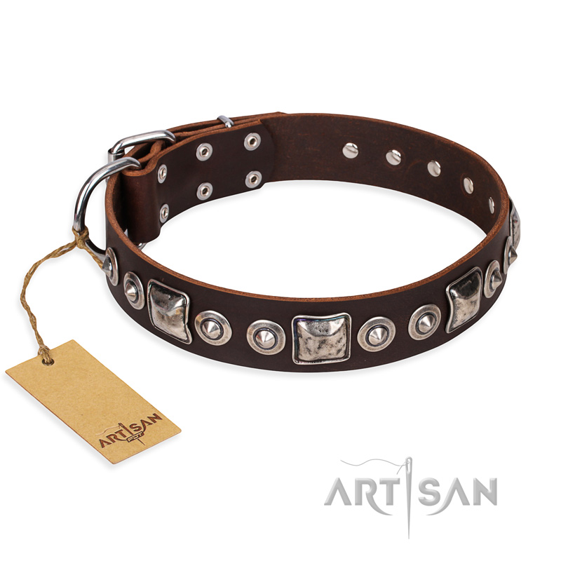 "Pierian spring" FDT Artisan Brown Leather Newfoundland Collar with Silvery Decorations