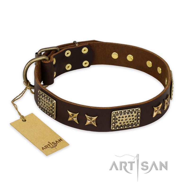 "Sparkling Bronze" FDT Artisan Genuine Leather Newfoundland Collar with Bronze Look Stars and Plates