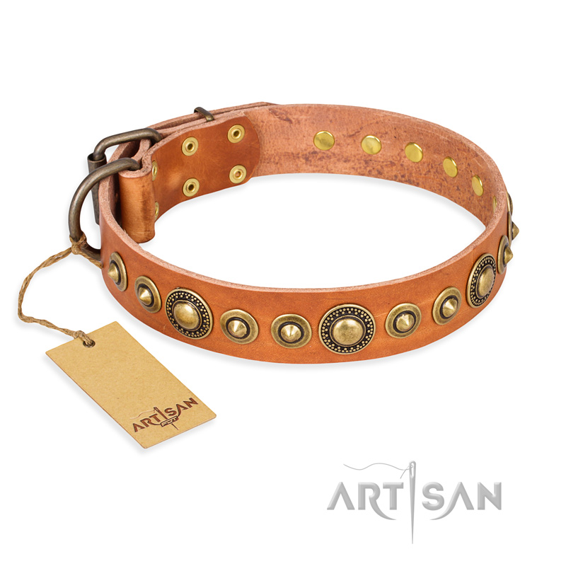 "Feast of Luxury" FDT Artisan Tan Leather Newfoundland Collar with Old Bronze Look Circles