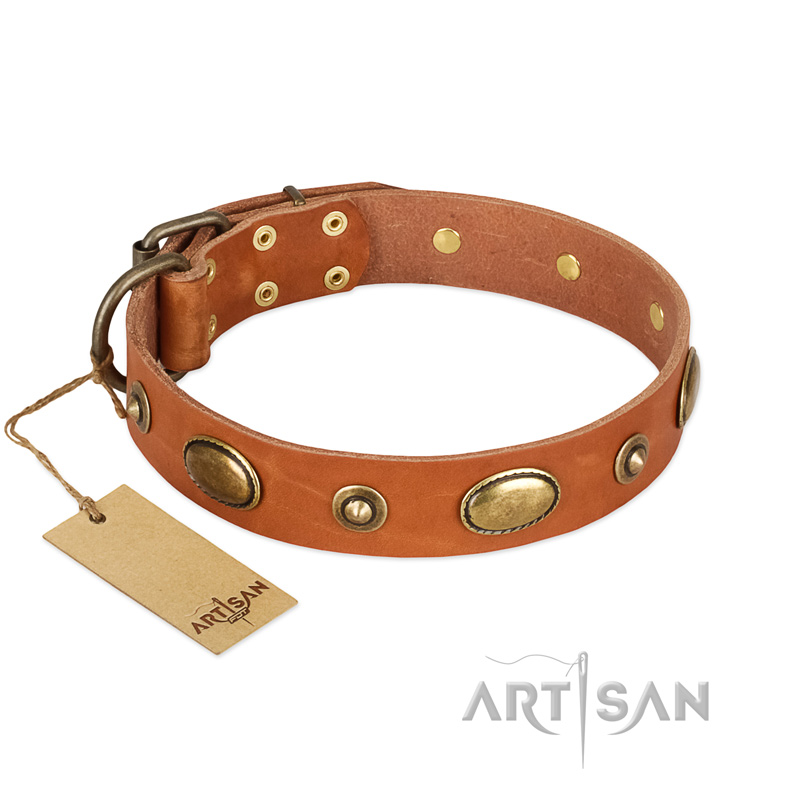 "Visual Magic" FDT Artisan Tan Leather Newfoundland Collar for Daily Activities - Click Image to Close