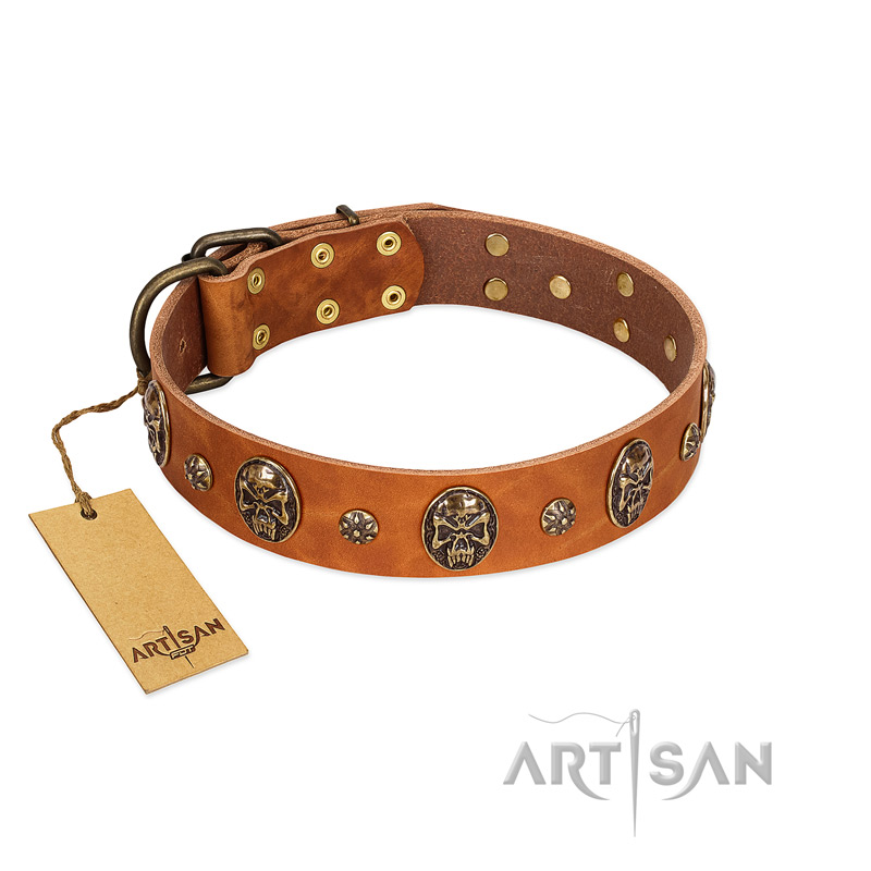 "Rockstar" FDT Artisan Tan Leather Newfoundland Collar with Engraved Studs and Medallions