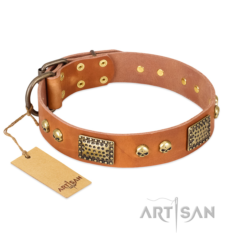 "Saucy Nature" FDT Artisan Tan Leather Newfoundland Collar with Old Bronze Look Plates and Skulls