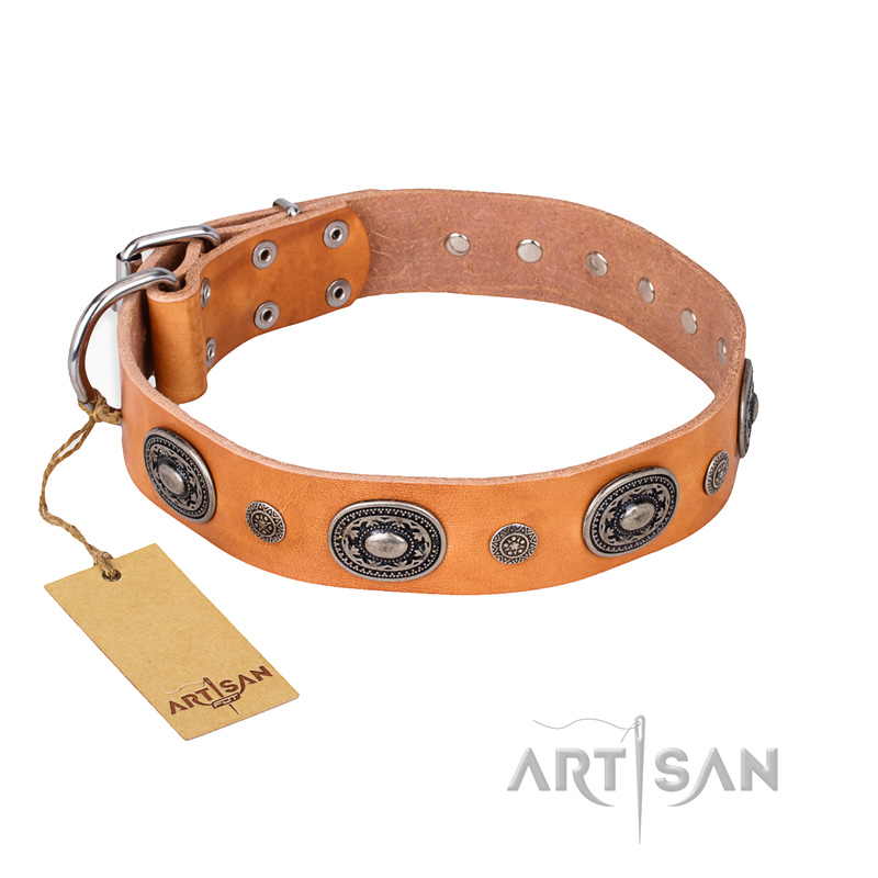 "Twinkle Twinkle" FDT Artisan Incredible Studded Tan Leather Newfoundland Collar