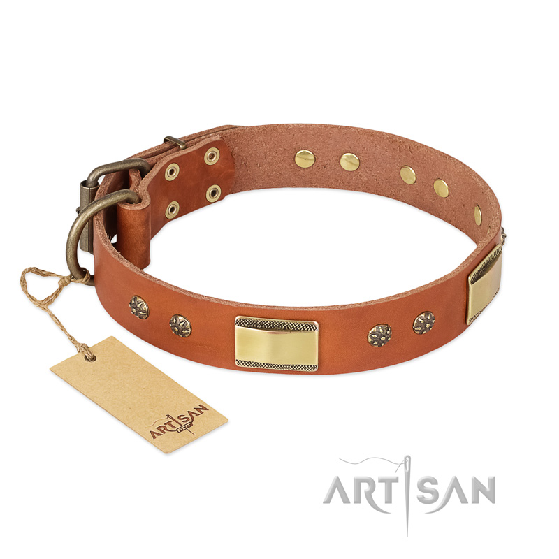 "Enchanting Spectacle" FDT Artisan Tan Leather Newfoundland Collar with Old Bronze Look Plates and Round Studs - Click Image to Close