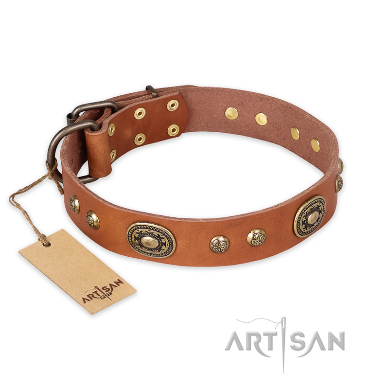"Stunning Dress" FDT Artisan Tan Leather Newfoundland Collar with Old Bronze Look Plates and Studs