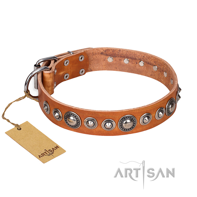 "Daily Chic" FDT Artisan Tan Leather Newfoundland Collar with Decorations
