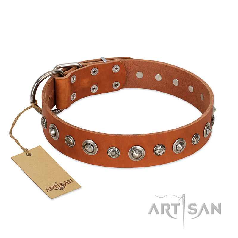 "Gorgeous Roundie" FDT Artisan Tan Leather Newfoundland Collar with Chrome-plated Circles