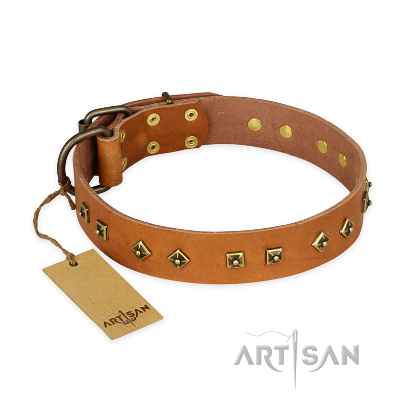"Autumn Story" FDT Artisan Leather Newfoundland Collar with Old Bronze Look Studs