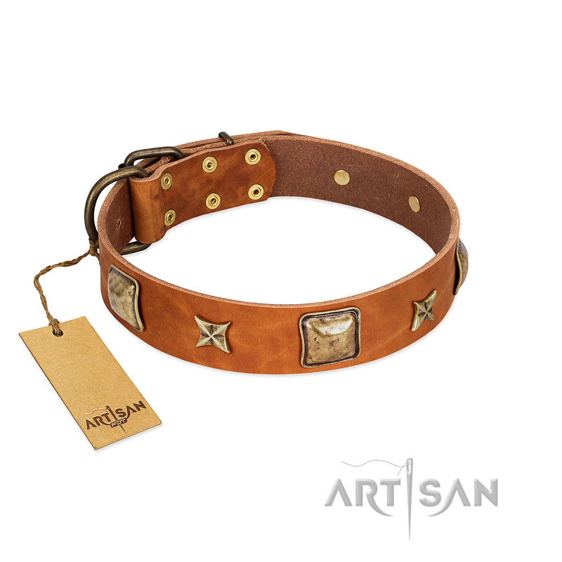 "Celtic Tunes" FDT Artisan Tan Leather Newfoundland Collar Adorned with Stars and Squares