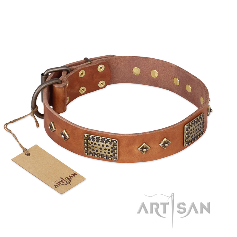 "Catchy Look" FDT Artisan Decorated Tan Leather Newfoundland Collar
