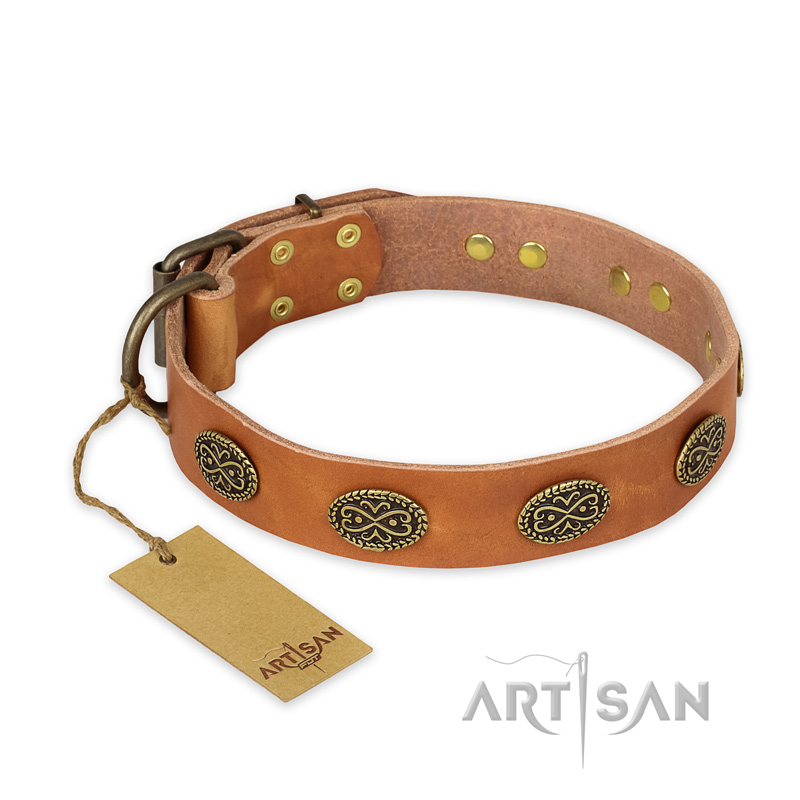 "Magic Amulet" FDT Artisan Tan Leather Newfoundland Collar with Oval Studs