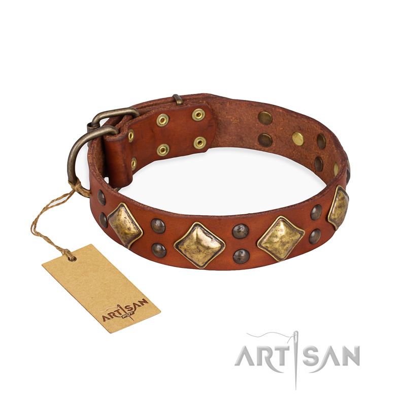 "Flight of Fancy" FDT Artisan Adorned Leather Newfoundland Collar