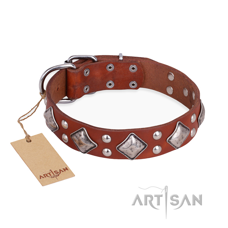 "Magic Squares" FDT Artisan Tan Leather Newfoundland Collar with Silver-like Decor
