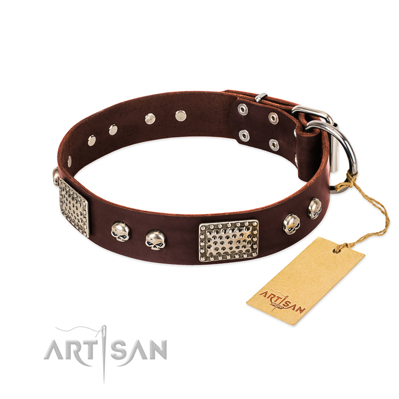 "Pirate Skull" FDT Artisan Brown Leather Newfoundland Collar with Old Silver Look Plates and Skulls