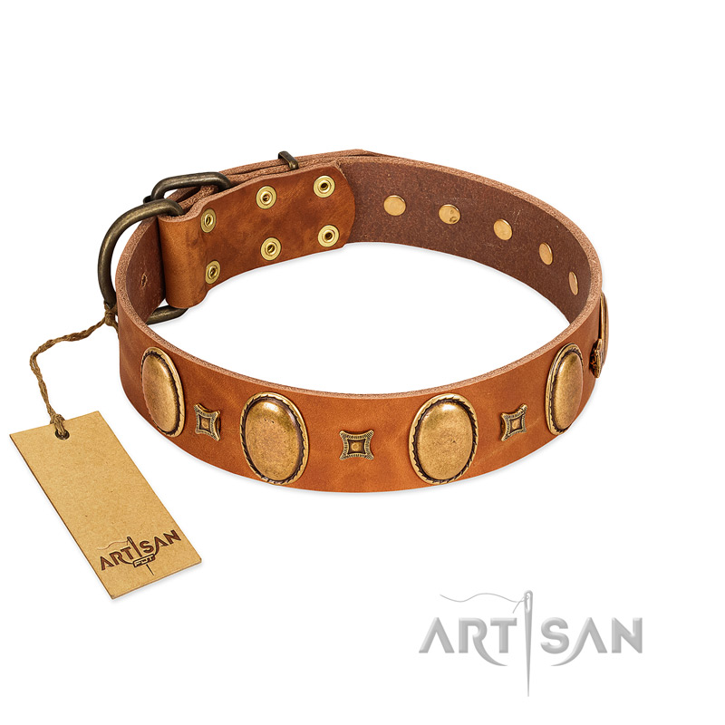 "Glossy Autumn" Designer Handmade FDT Artisan Tan Leather Newfoundland Collar with Ovals and Studs