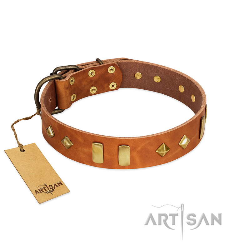 "Woofy Dawn" FDT Artisan Tan Leather Newfoundland Collar with Plates and Rhombs