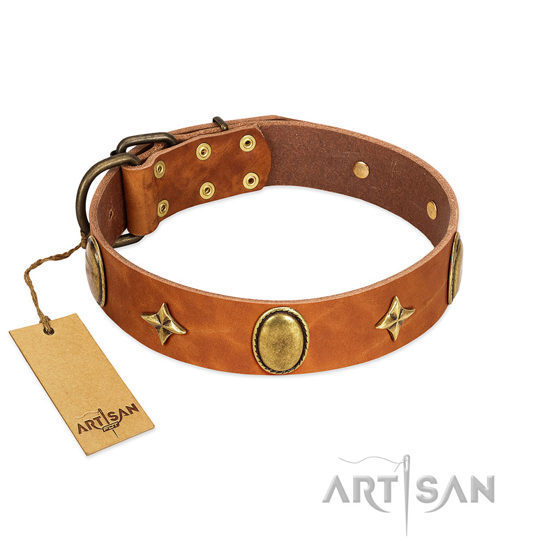 "Space Warrior" FDT Artisan Tan Leather Newfoundland Collar with Ovals and Stars