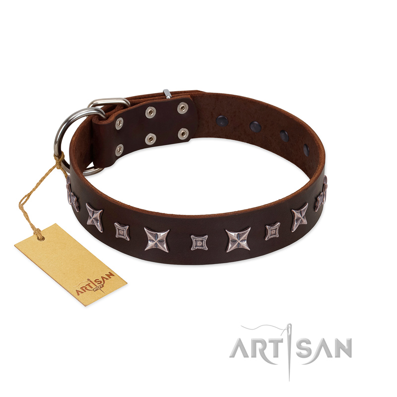 "Stellar Fairy " FDT Artisan Brown Leather Newfoundland Collar with Chrome-plated Star-like Decorations