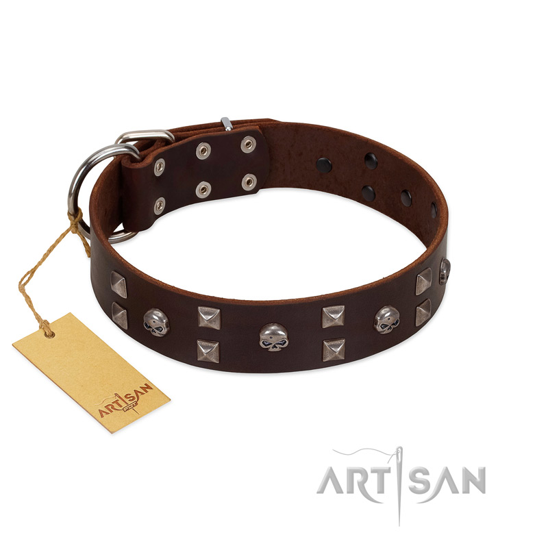 "Brown Shadow" Designer Handmade FDT Artisan Brown Leather Newfoundland Collar